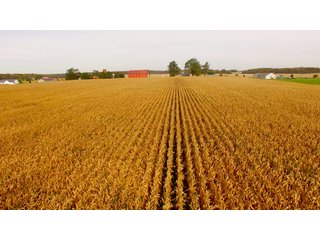 Property photo 48 - MAJOR LAND AUCTION - 315+/- ACRES IN 16 TRACTS - 6 PROPERTIES IN WHITLEY & ALLEN COUNTIES, INDIANA